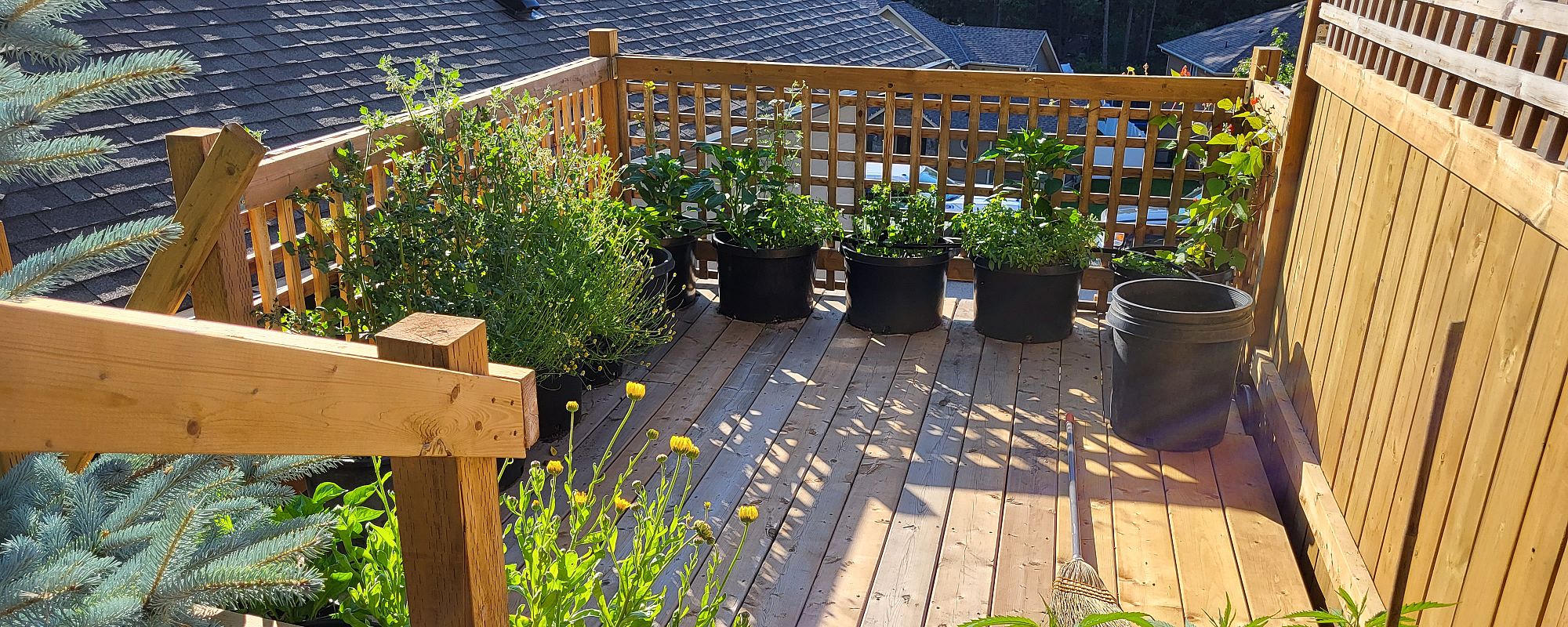 Wooden Decking & Planting, West Kelowna B.C., Green & Grey Landscaping Inc.